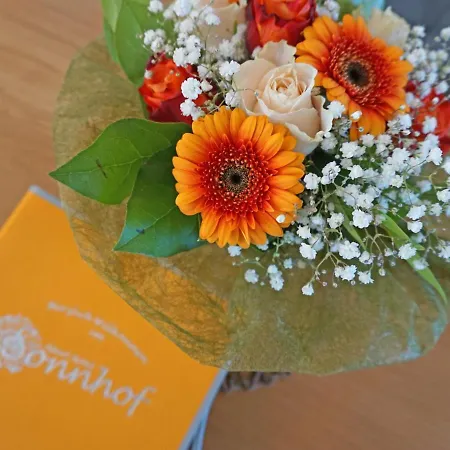 Ladis-11 By Interhome